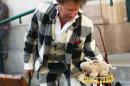 mister jones et son cochon 004 * 4272 x 2848 * (3.64MB)